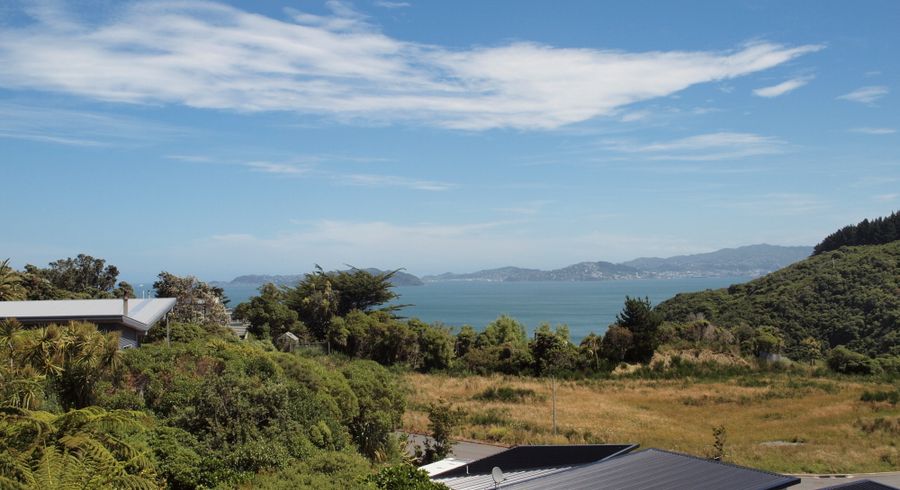  at 55 Korokoro Road, Korokoro, Lower Hutt