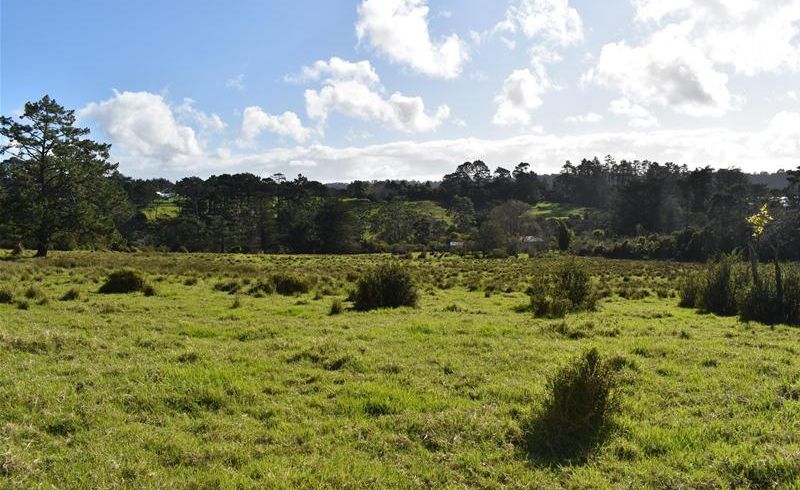  at 6 Coulter Road, Swanson, Auckland