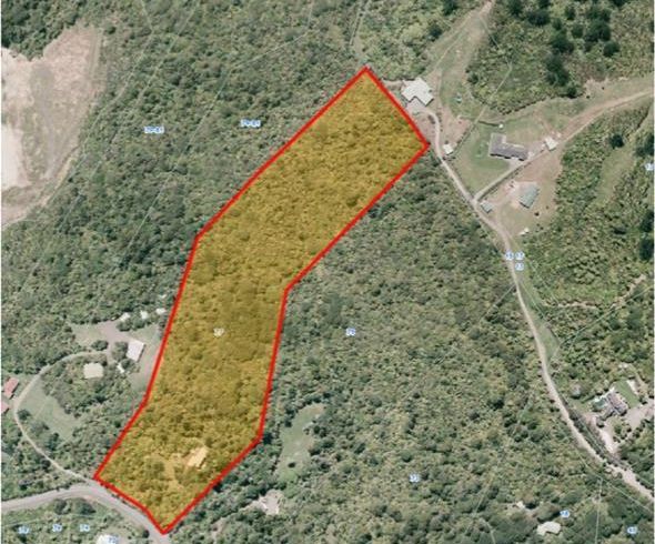  at 77 Te Henga Road, Henderson