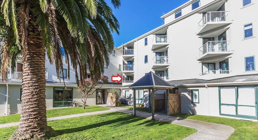  at B7/13 Palm Grove, Berhampore, Wellington