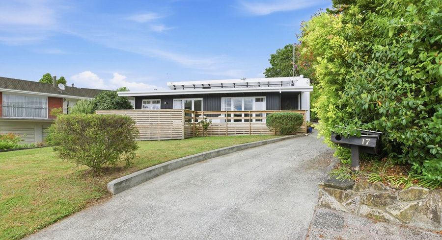  at 17 Elizabeth Avenue, Morrinsville, Morrinsville