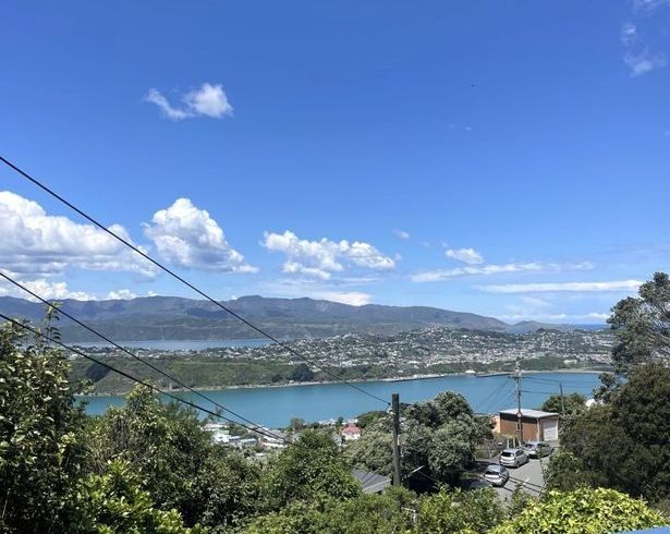  at 32 Alexandra Rd, Hataitai, Wellington, Wellington