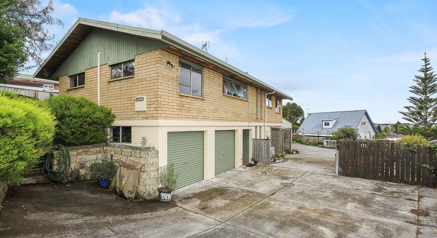  at 111 Tuhikaramea Road, Dinsdale, Hamilton