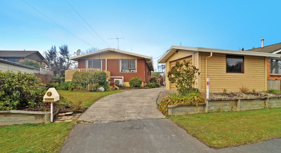  at 209 Dalziel Road, Brockville, Dunedin