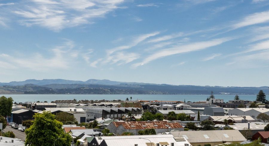  at 8 Goldsmith Road, Hospital Hill, Napier, Hawke's Bay