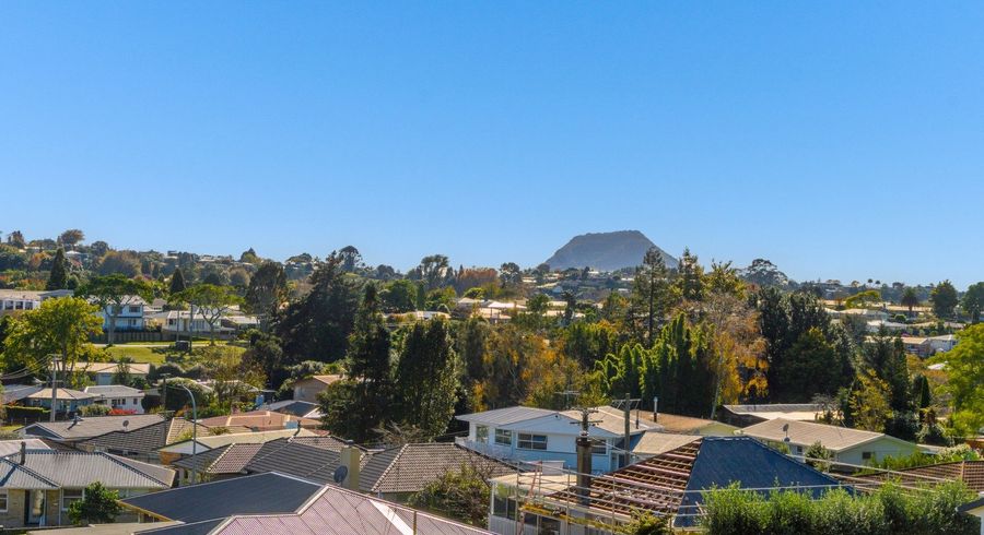  at 19 Bellevue Road, Brookfield, Tauranga, Bay Of Plenty
