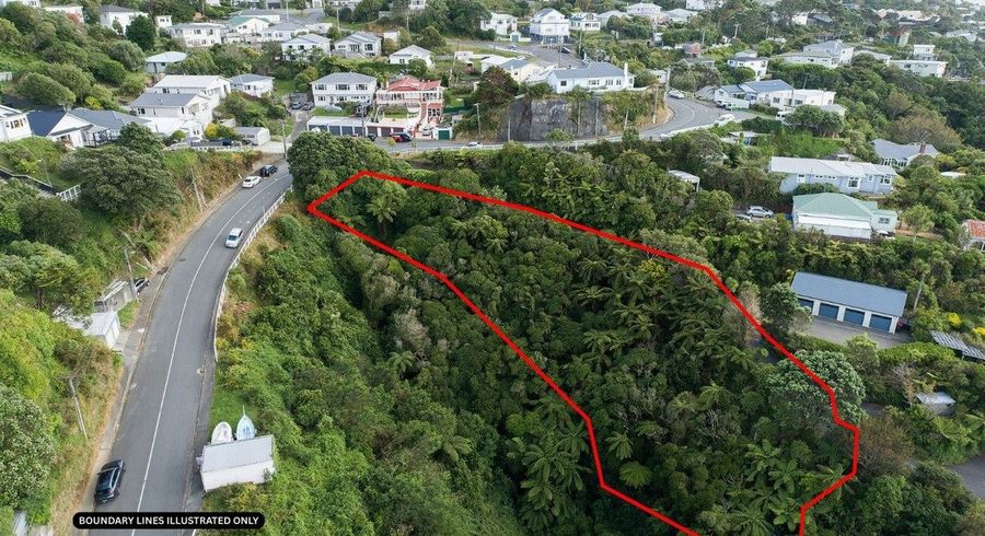  at 72 Farnham Street, Mornington, Wellington, Wellington