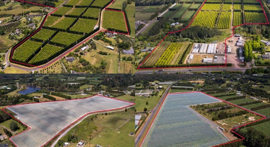  at 89 Kapiro Road, 108 Kapiro Road, 409 Kapiro Road and 147 Stanners Road, Kerikeri, Far North, Northland