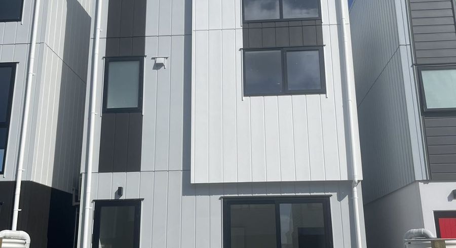  at 47 Joshua Carder Drive, Hobsonville, Waitakere City, Auckland