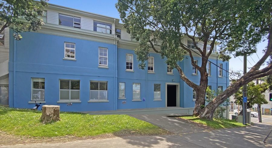 at 4/30 Hanson Street, Mount Cook, Wellington, Wellington