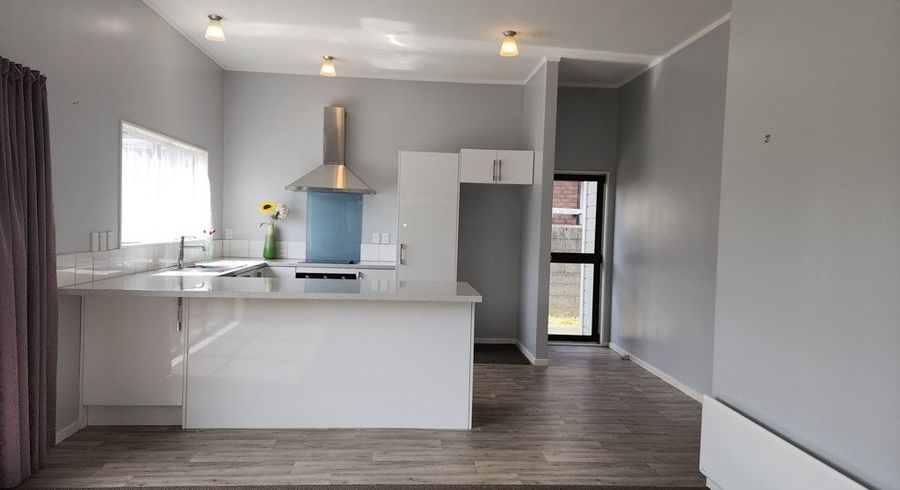  at 21 Waione Street, Petone, Lower Hutt, Wellington