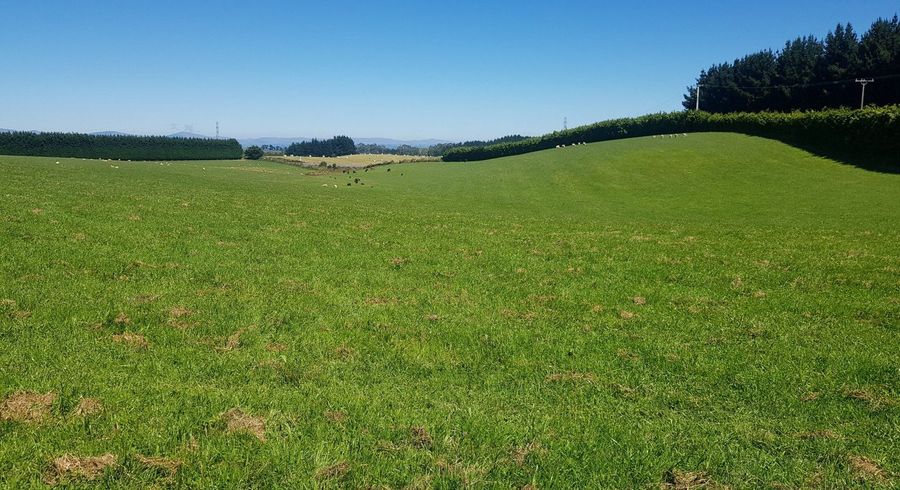  at 1042 Hillend Road, Hillend, Balclutha