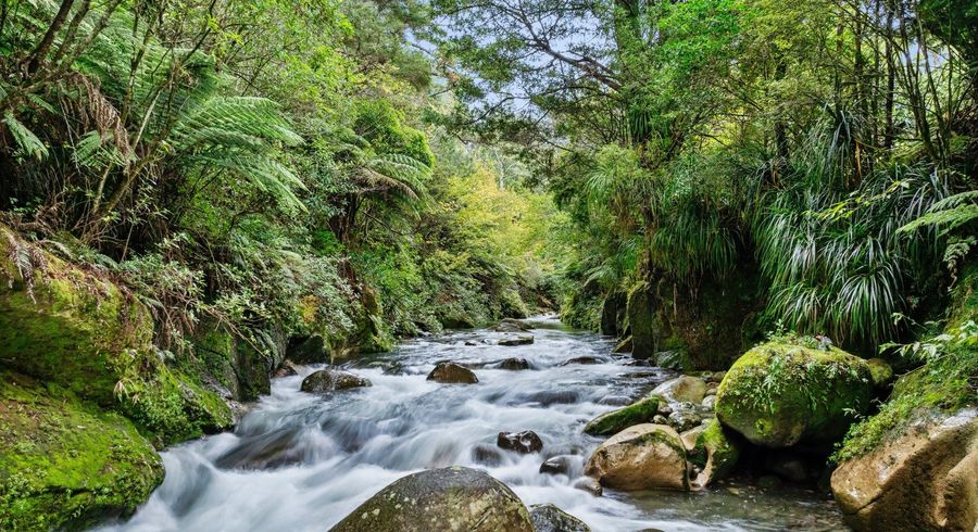  at 93 Upland Road, Aongatete, Western Bay Of Plenty, Bay Of Plenty