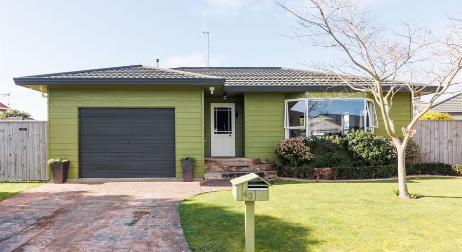  at 43 Dalfield Place, Highbury, Palmerston North