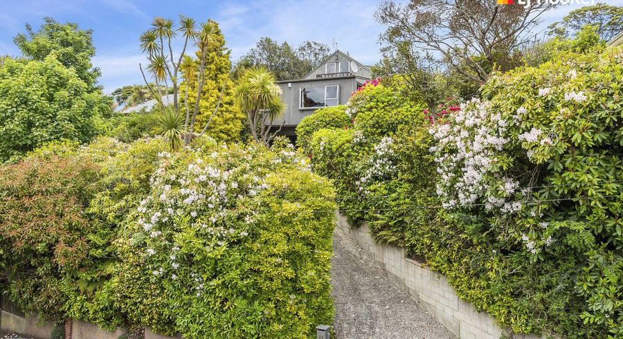  at 44 Littlebourne Road, Roslyn, Dunedin