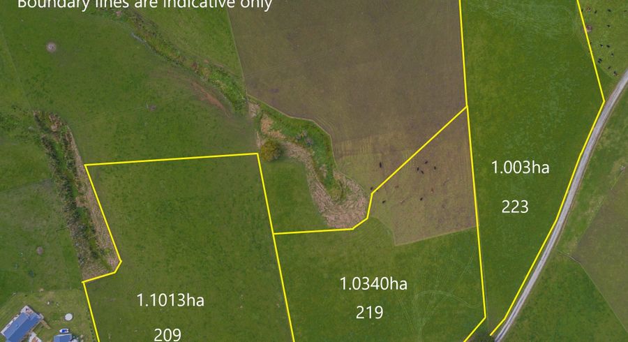  at 209 Tapu Bush Road, Whangaripo, Wellsford