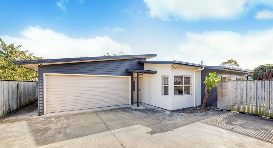  at 36C Fitzroy Street, Terrace End, Palmerston North