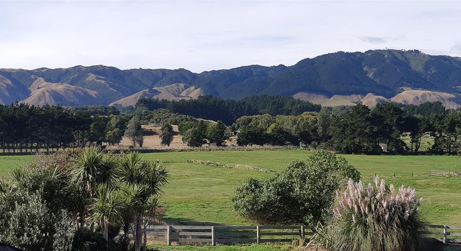  at 218 Pukenamu Road, Te Horo