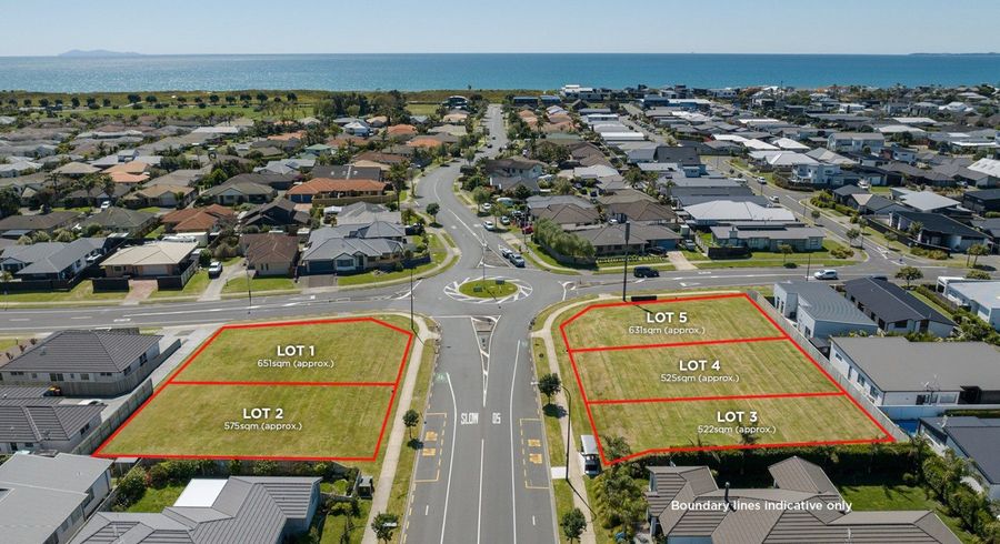  at 334 Grenada Street, Papamoa, Tauranga, Bay Of Plenty