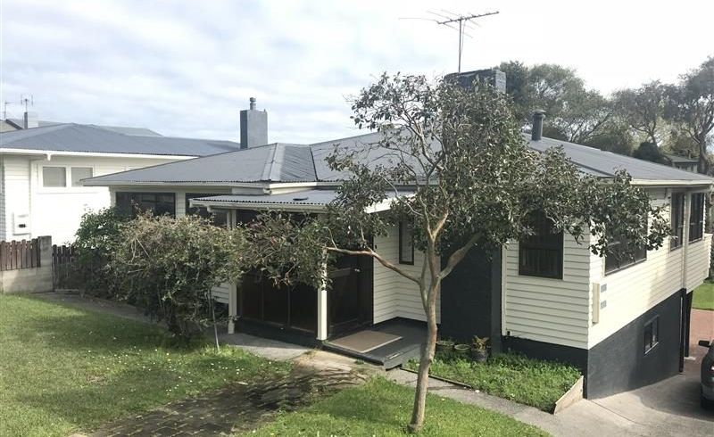  at 20 Maioro Street, New Windsor, Auckland City, Auckland