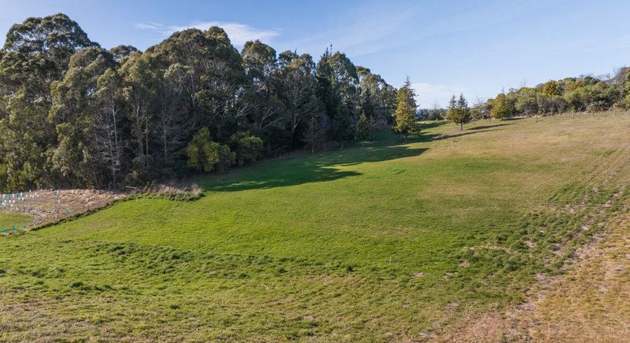  at 17 Pippin Lane, Mapua, Tasman, Nelson / Tasman