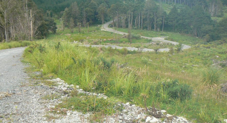  at Lot 65 Stoney Creek Road, Kaikohe, Far North, Northland