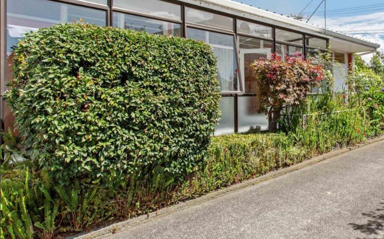  at 1/68 Ireland Road, Panmure, Auckland