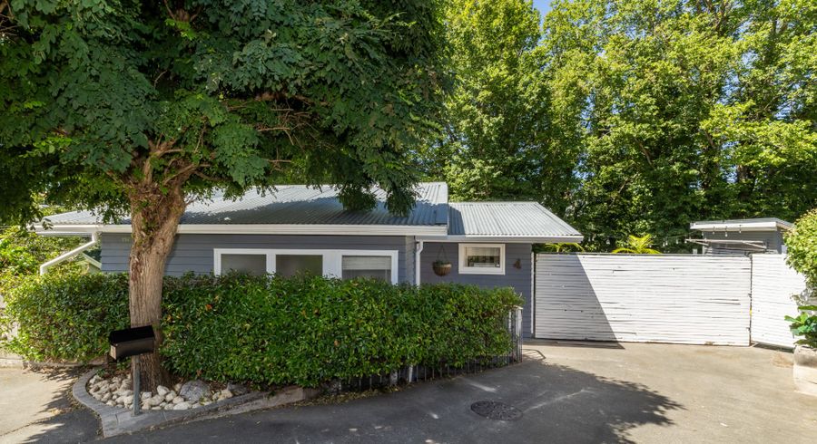  at 3a Bay View Road, Bluff Hill, Napier, Hawke's Bay