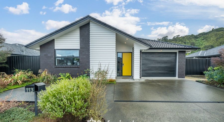  at 113 Mawai Hakona Drive, Wallaceville, Upper Hutt, Wellington