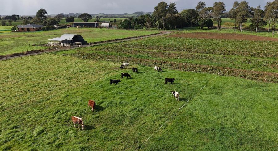  at 862 Gill Road, Kaitaia, Far North, Northland