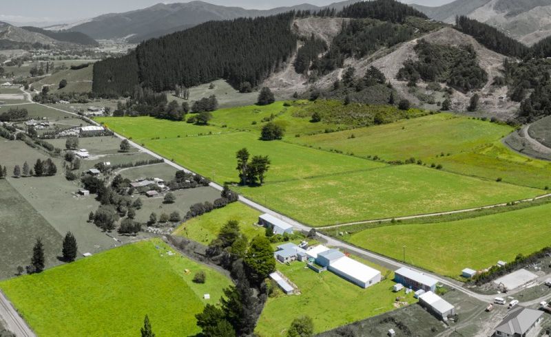  at 166 Lindens Road, Blenheim