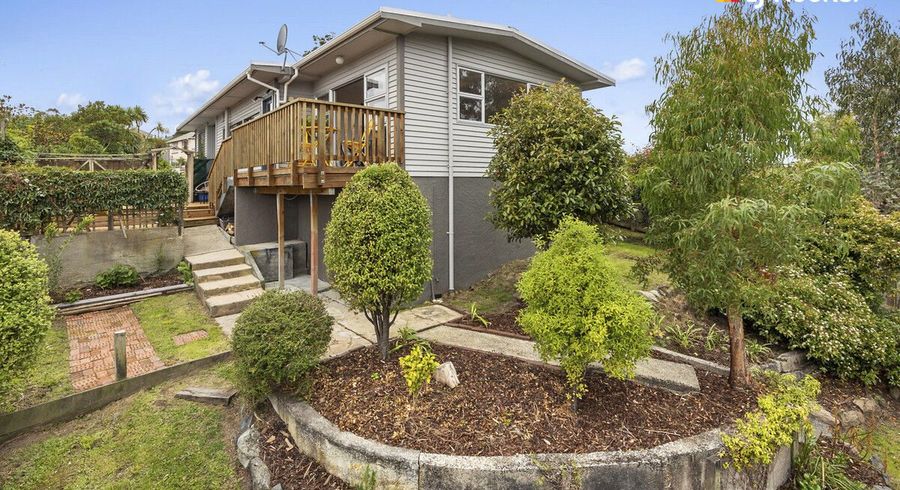  at 33 Belford Street, Waverley, Dunedin