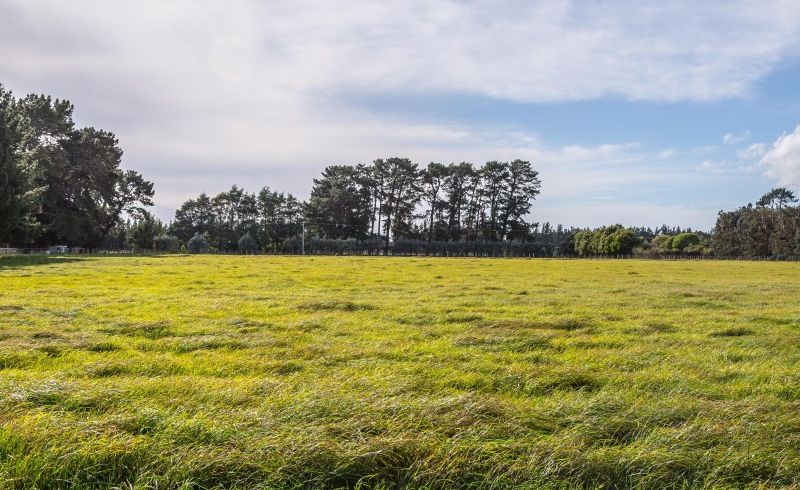  at 23 Settlement Road, Morison Bush, Greytown