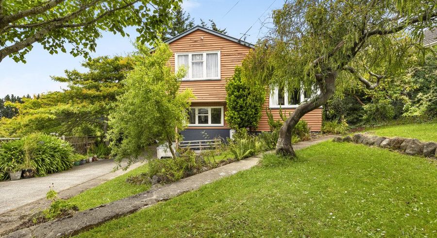  at 125 Cockerell Street, Brockville, Dunedin, Otago