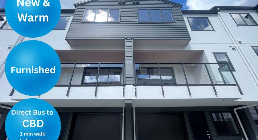 at 3/673 Sandringham Road, Sandringham, Auckland City, Auckland