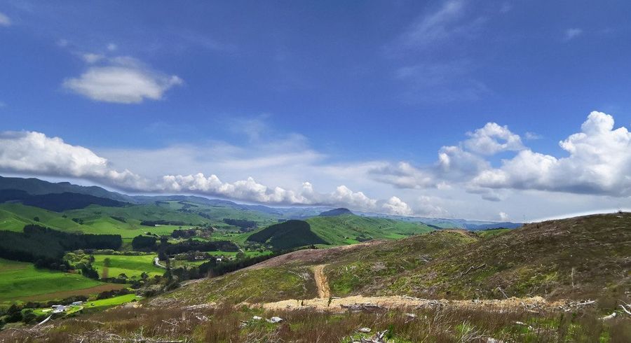  at Millgo Forest, Masterton, Masterton, Wellington