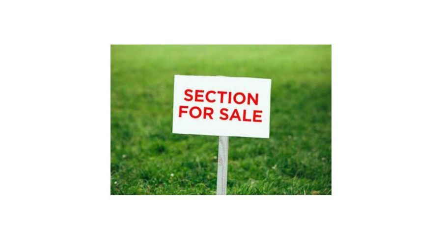  at 11 Christella Street, Flat Bush, Manukau City, Auckland