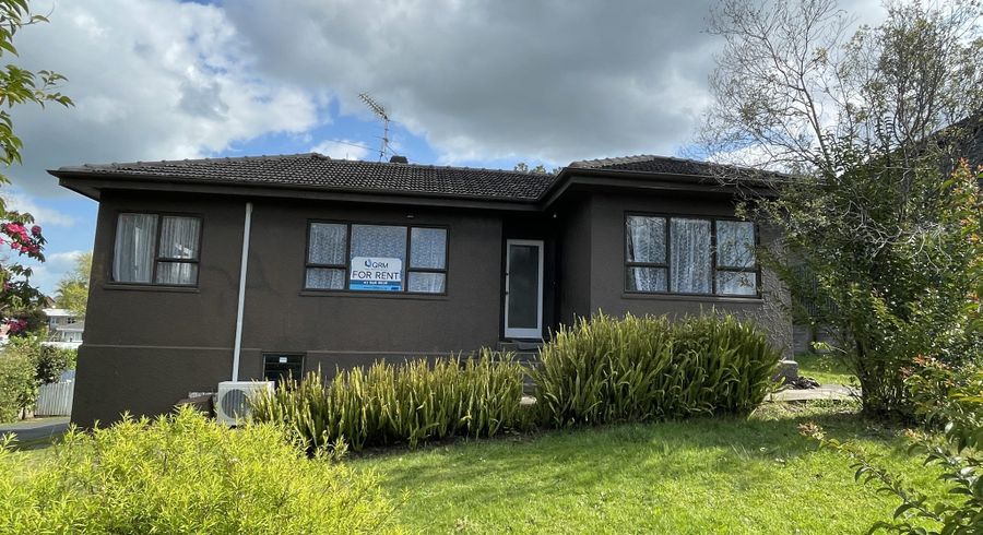  at 22 Mansel Avenue, Hillcrest, Hamilton, Waikato