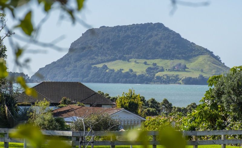  at 22 Levers Road, Matua, Tauranga