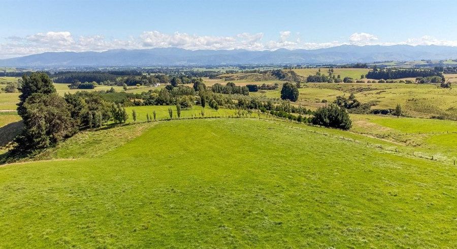  at Lot 14/287b Millars Road, Carterton, Carterton, Wellington