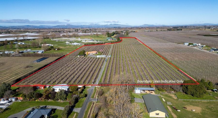  at 20 Parsons Road, Meeanee, Napier, Hawke's Bay
