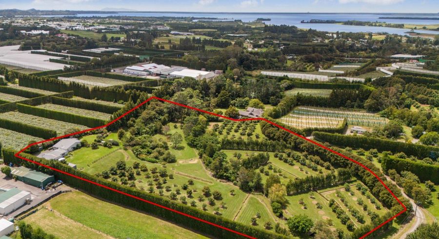  at 63A Rea Road, Katikati, Western Bay Of Plenty, Bay Of Plenty