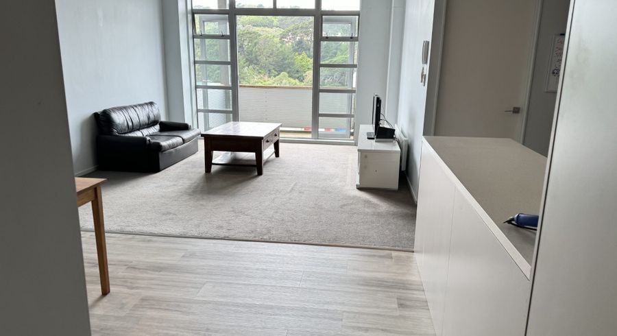  at 20 Hanson Street, Mount Cook, Wellington, Wellington