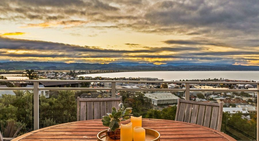  at 21 Denholm Road, Hospital Hill, Napier, Hawke's Bay