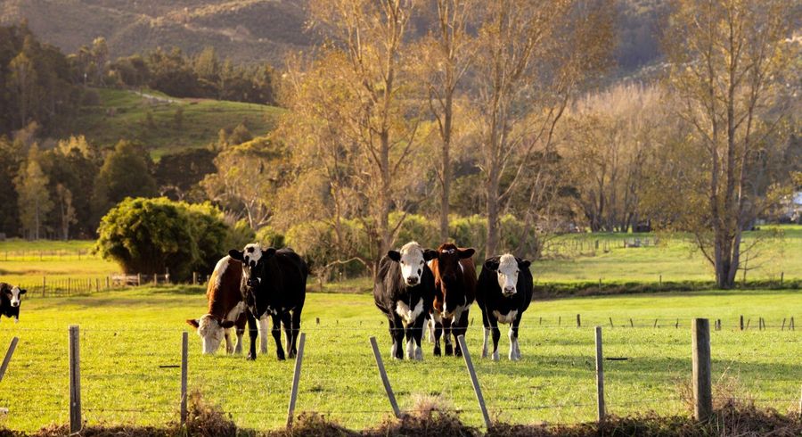  at 572 Woodcocks Road, Warkworth, Rodney, Auckland