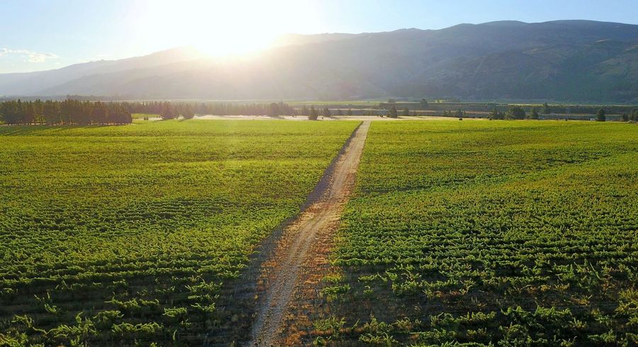  at 351 Maori Point Road, Tarras, Central Otago, Otago