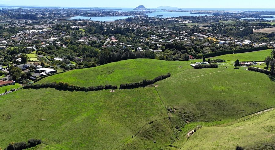  at 120/125 Upper Ohauiti Road, Ohauiti, Tauranga, Bay Of Plenty