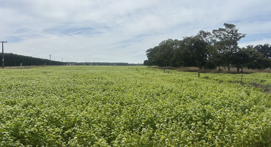 at Waimate Highway, Saint Andrews, Waimate, Canterbury
