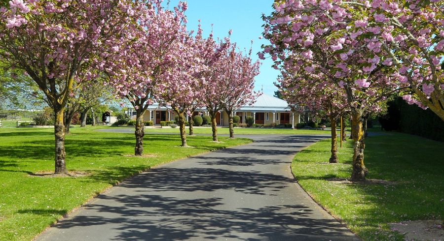  at 1262 Maraekakaho Road, Longlands, Hastings