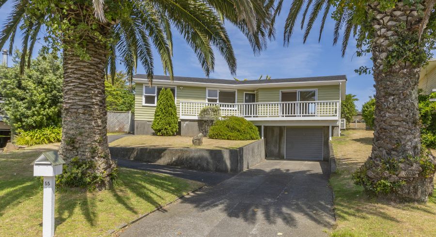  at 55 Teoti Street, Paraparaumu Beach, Paraparaumu